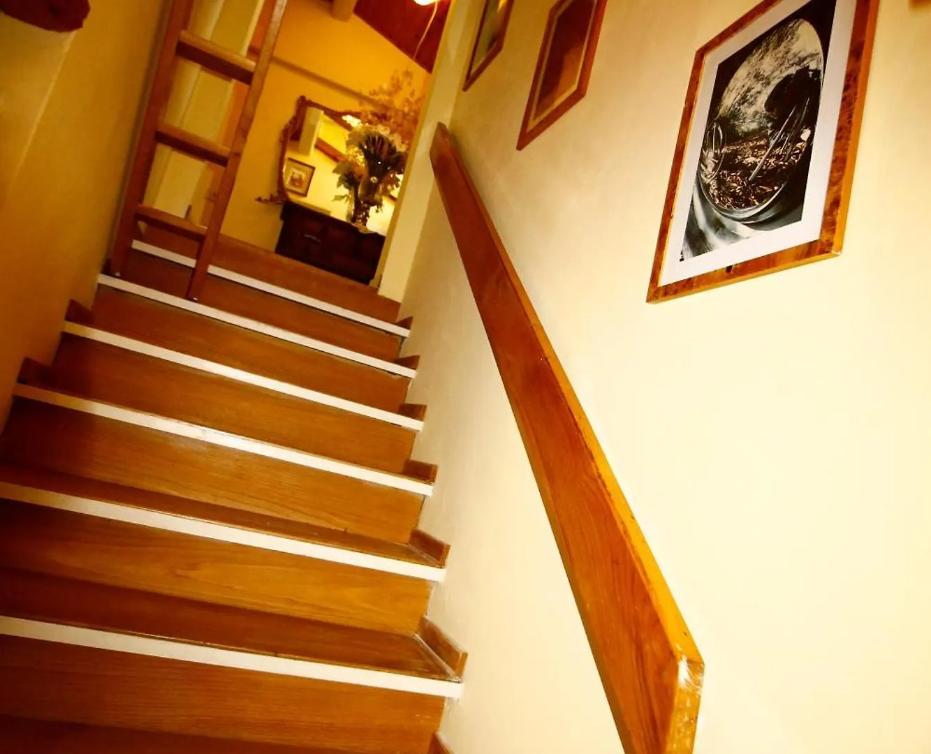 Guest house Affittacamere Margherita Florence Italy